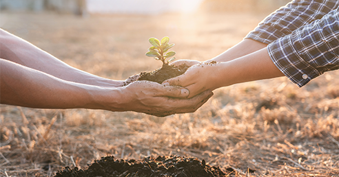 Sázíme Česko se Simply Kids